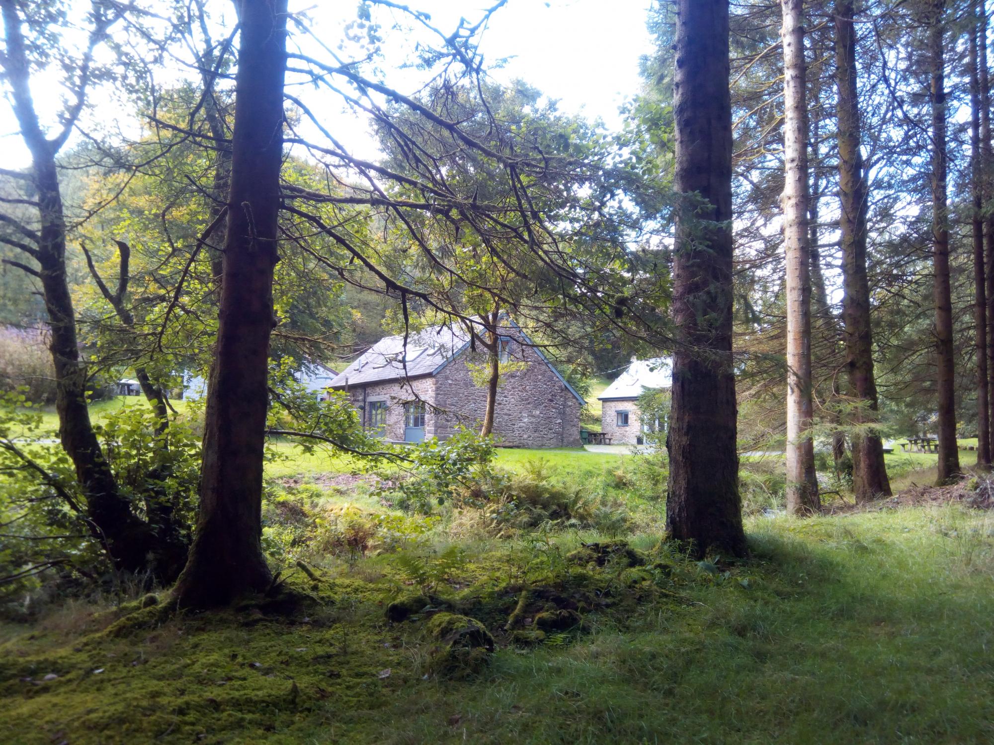 Secluded stone cottages among sunlit trees and mossy woodland